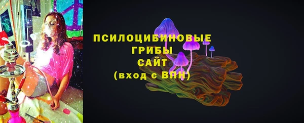 ПСИЛОЦИБИНОВЫЕ ГРИБЫ Зеленокумск
