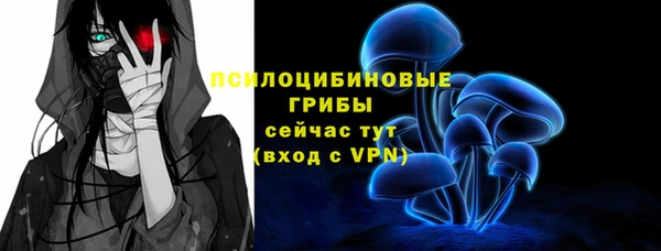 герыч Зеленодольск