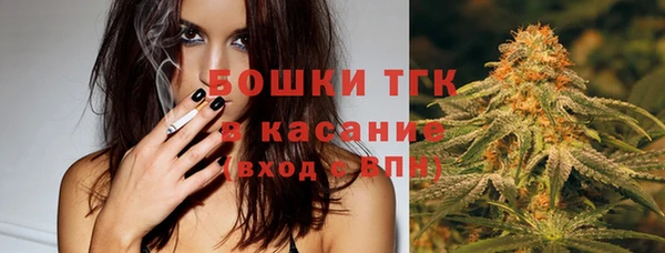 прущая мука Инсар